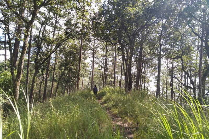 doi luang chiang dao doi luang chian dao