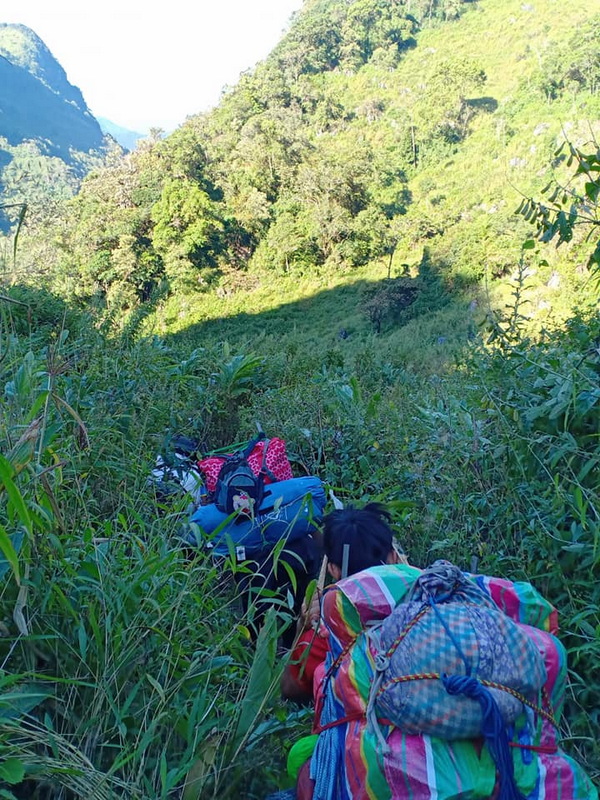 doi luang chiang dao, doi luang chiangdao, doi chiang dao, doi luang chiang dao forest park, doi chiang dao forest park, chiang dao wildlife sanctuary, doi luang chiang dao trek, doi luang chiangdao trek, doi chiang dao trek