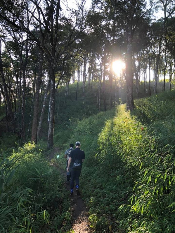 doi luang chiang dao, doi luang chiangdao, doi chiang dao, doi luang chiang dao forest park, doi chiang dao forest park, chiang dao wildlife sanctuary, doi luang chiang dao trek, doi luang chiangdao trek, doi chiang dao trek