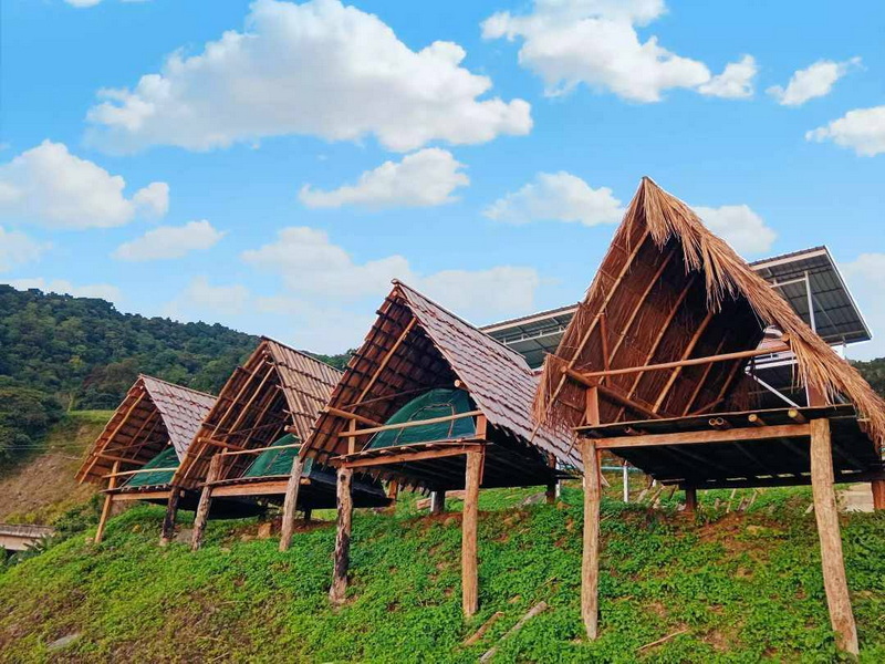 phu chi fa, phu chi fa forest park, phu chi fa national park, phu chi fah, phu chi fah forest park, phu chi fah national park